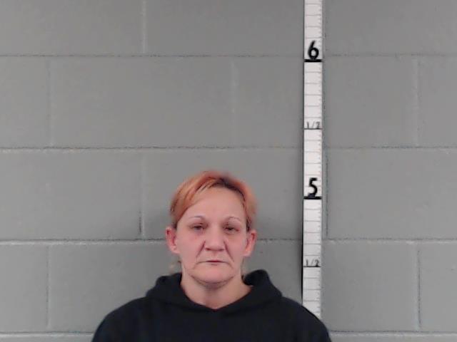 SHANNON ROOT booking