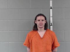 Mugshot of Elam, Randy