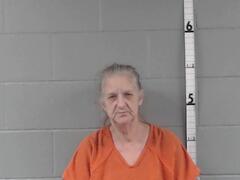 Mugshot of Jent, Linda