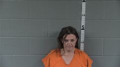 Mugshot of Davis, Amanda  